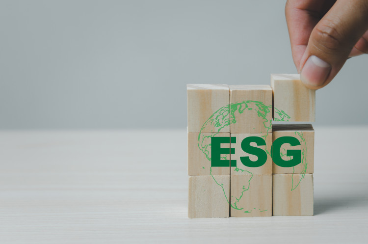 Image of hand placing final piece into cube of wooden pieces spelling ESG