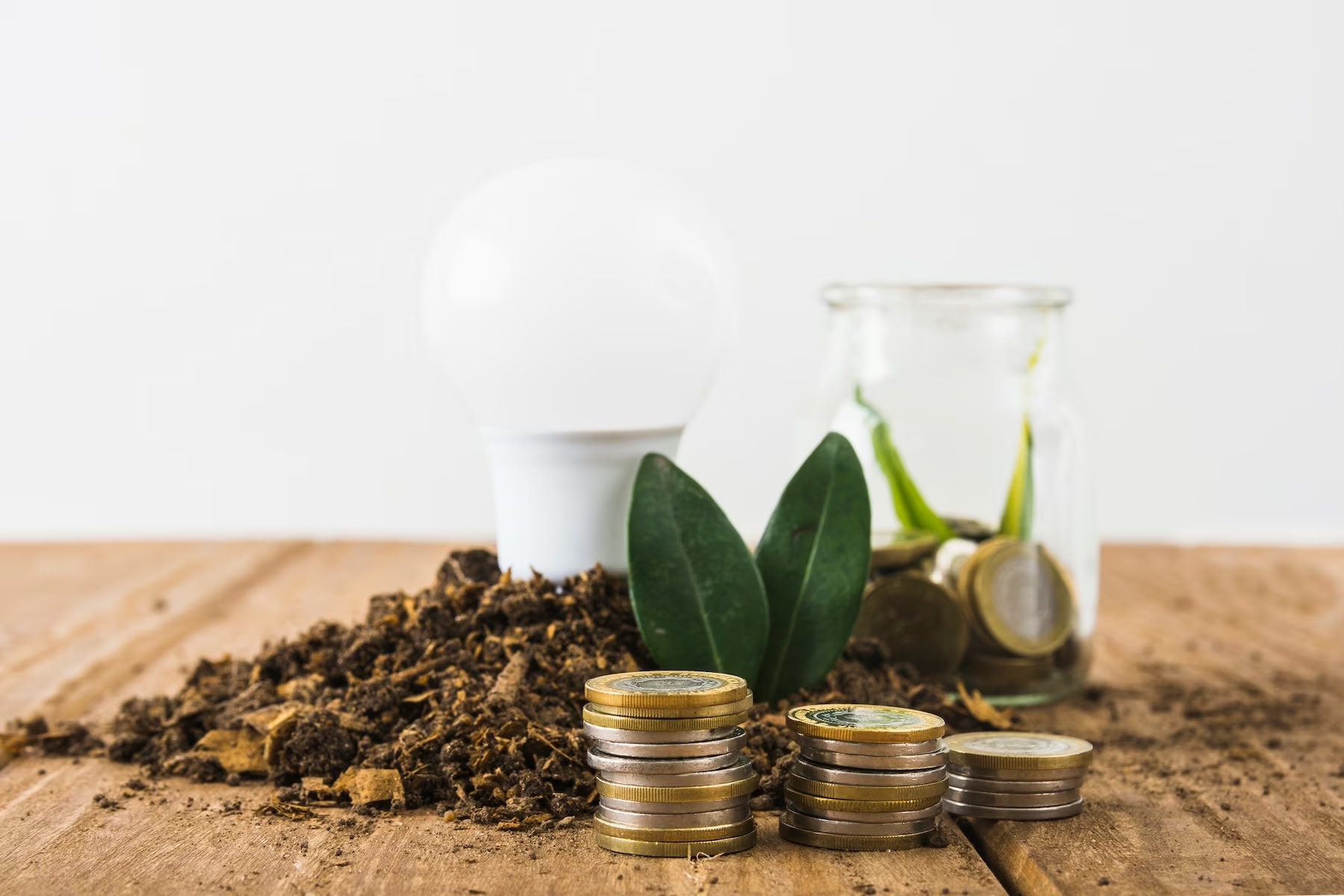 Image of idea light bulb, leaves, and soil next to coins on wooden table