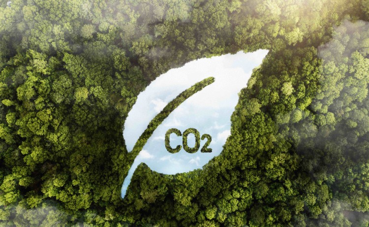  Graphic of CO2 printed white leaf suspended above image of cloudy green forests cover