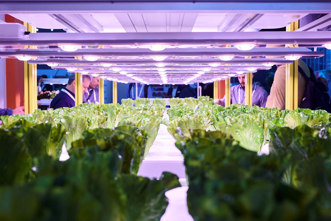 Greentech 2025 Amsterdam