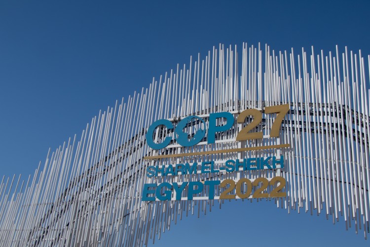 Critical Developments From COP27