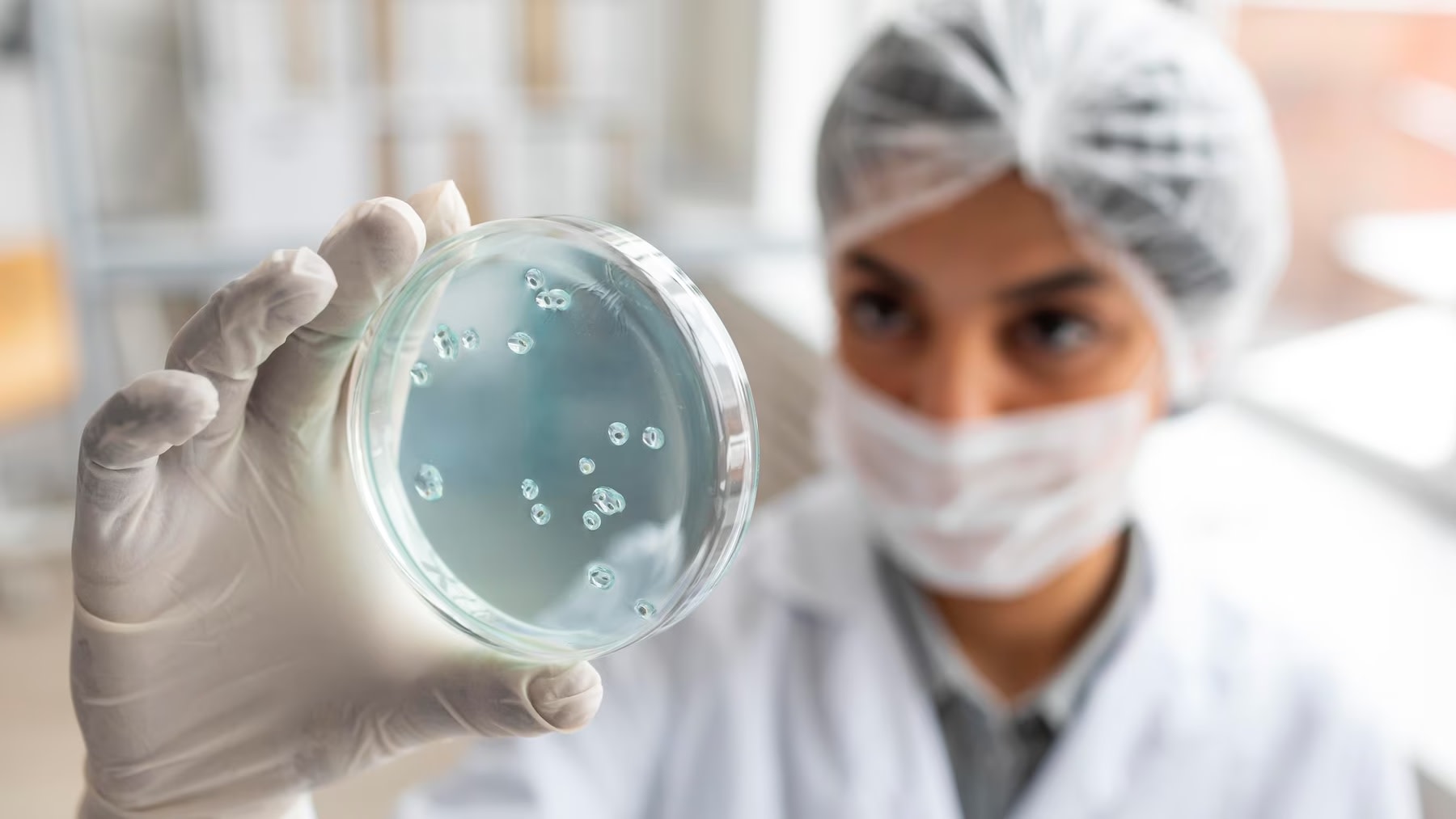 Image of scientist holding Petri dish and examining cultures