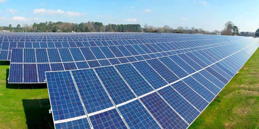 Vasper Energy ties with Zoetis