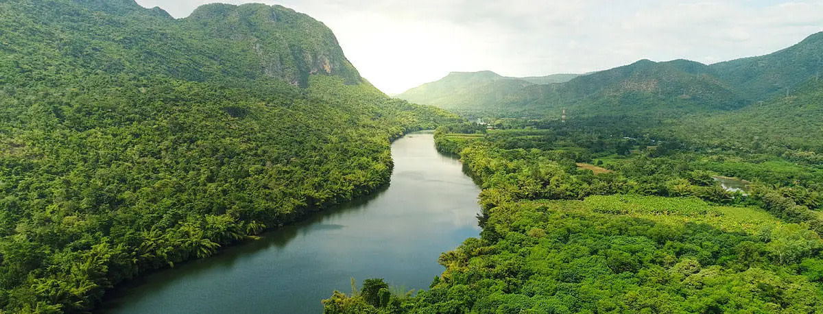 KnowESG_BCX Carries Out Malaysia's First Carbon Credit Auction