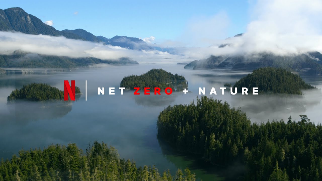 Netflix Highlights Progress Made on Sustainability