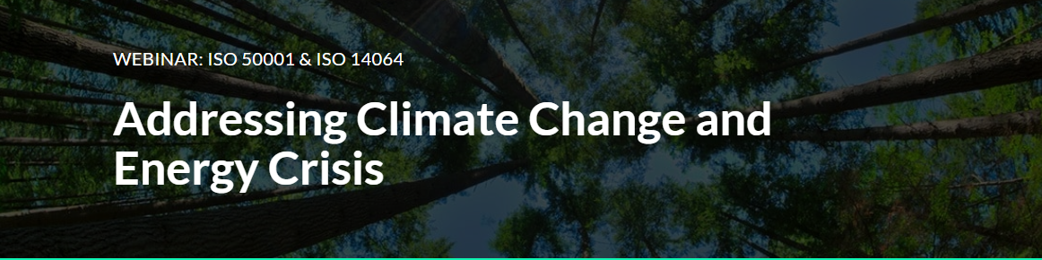 Addressing Climate Change and Energy Crisis in Organisations