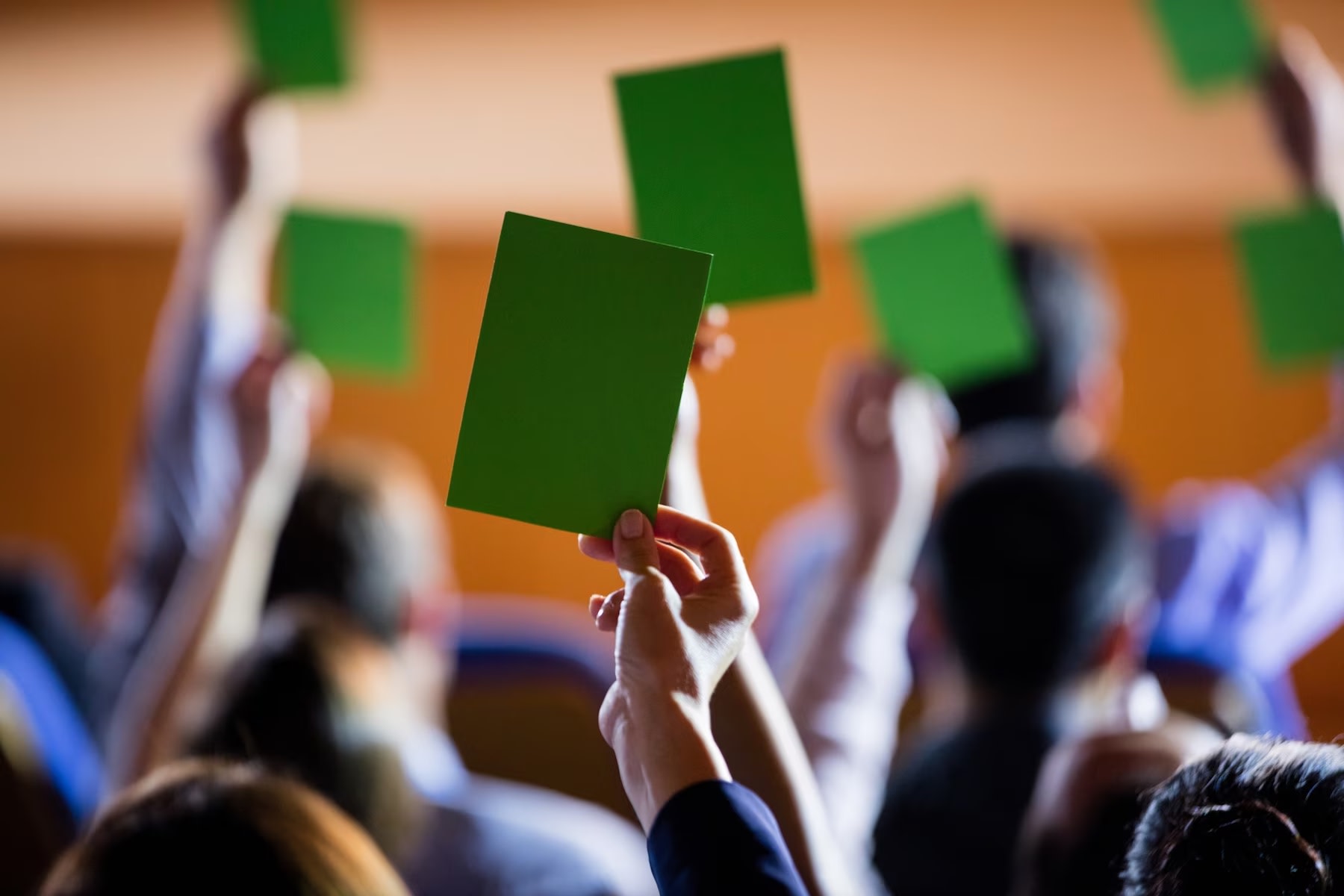 Image of hands raising green voting cards 