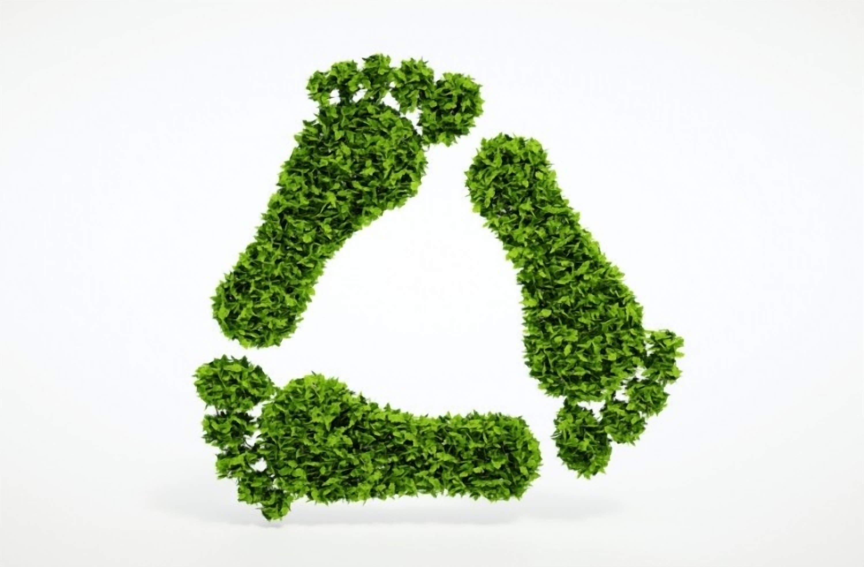 NSW Helps Businesses Go Green with $6 Million
