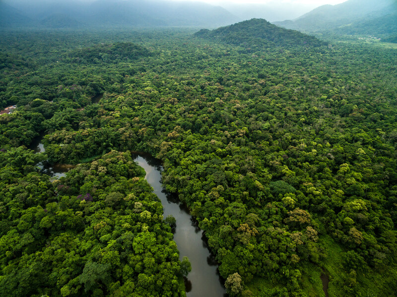 Schroders and Conservation International are working together to increase global investment in natural climate solutions