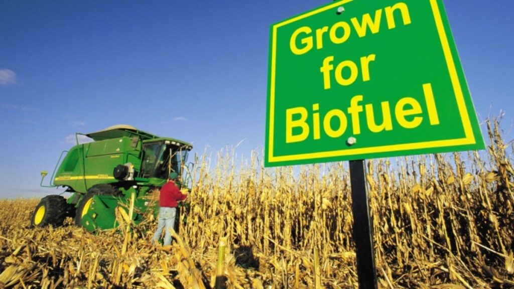 KnowESG_biofuel