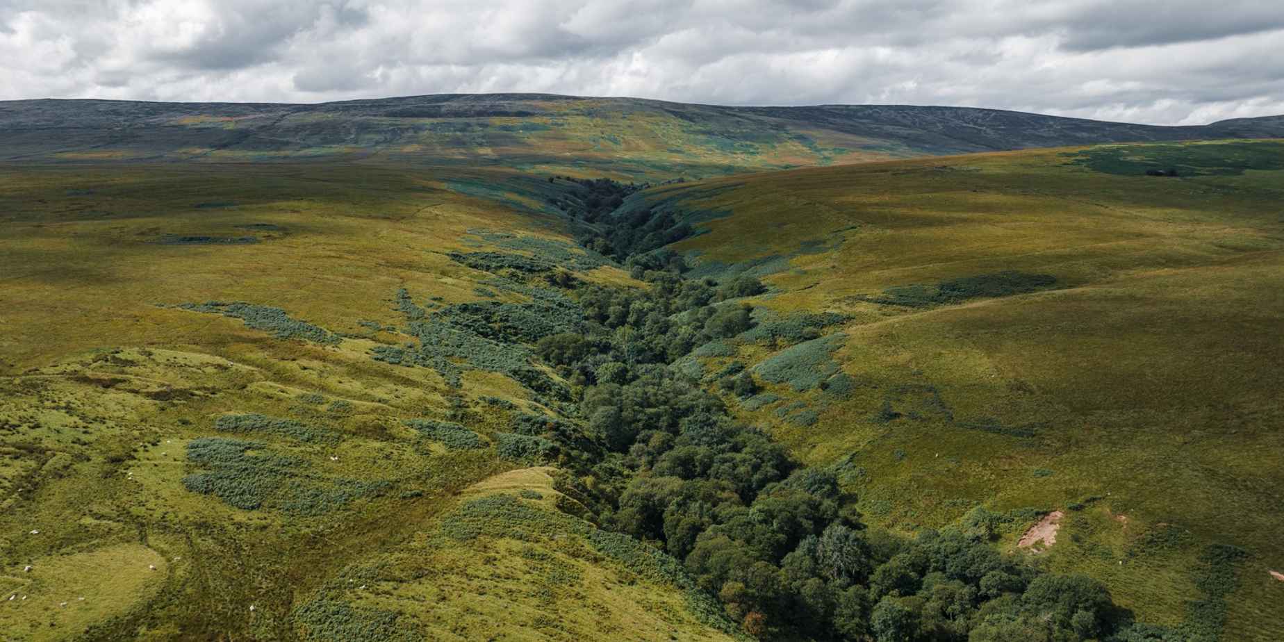 KnowESG_Triodos Bank Wins ESG Award for Conservation Deal