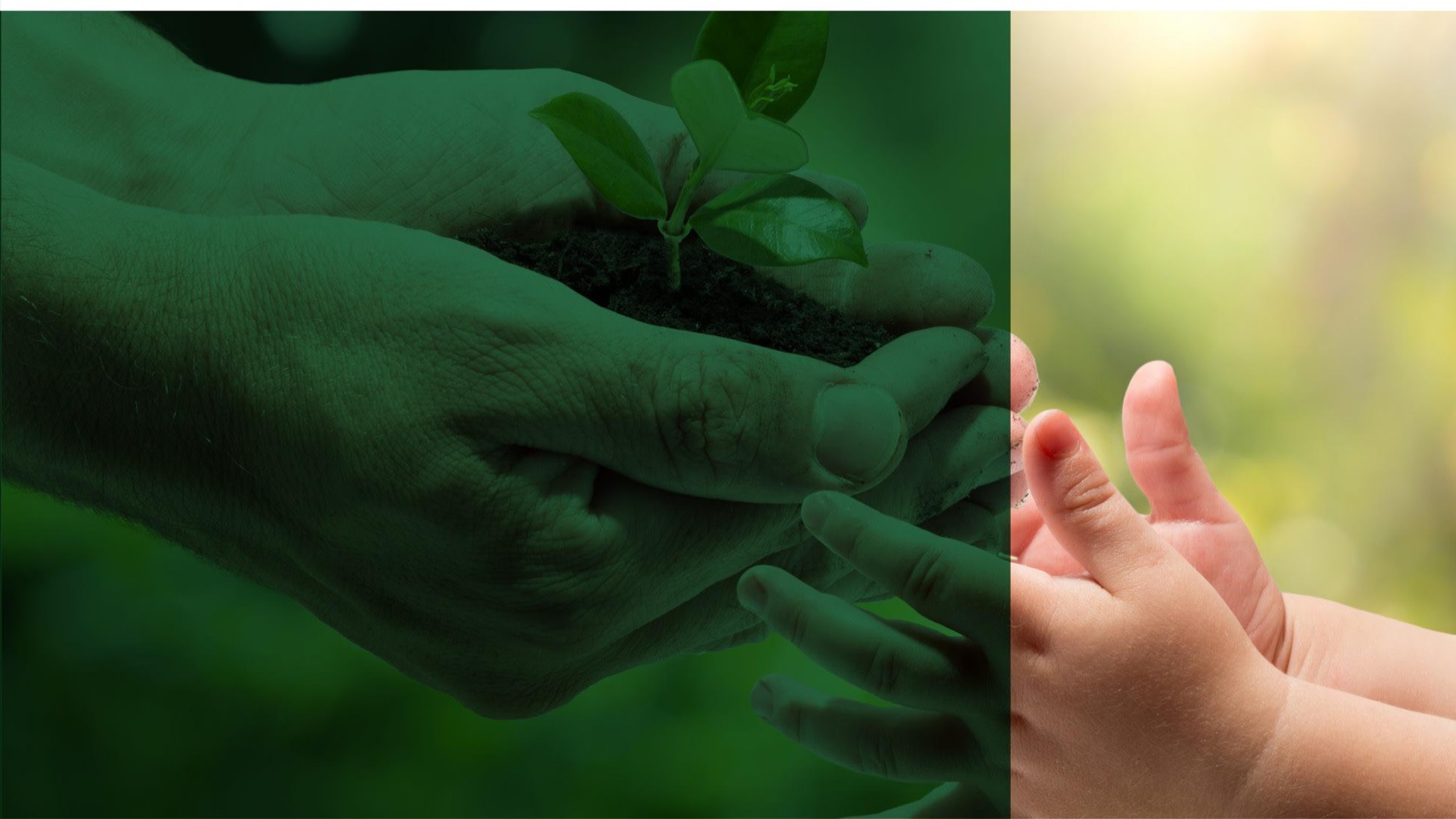 KKR Commits 2 8B To Impact Investments kkr-commits-2-8b-to-impact-investments