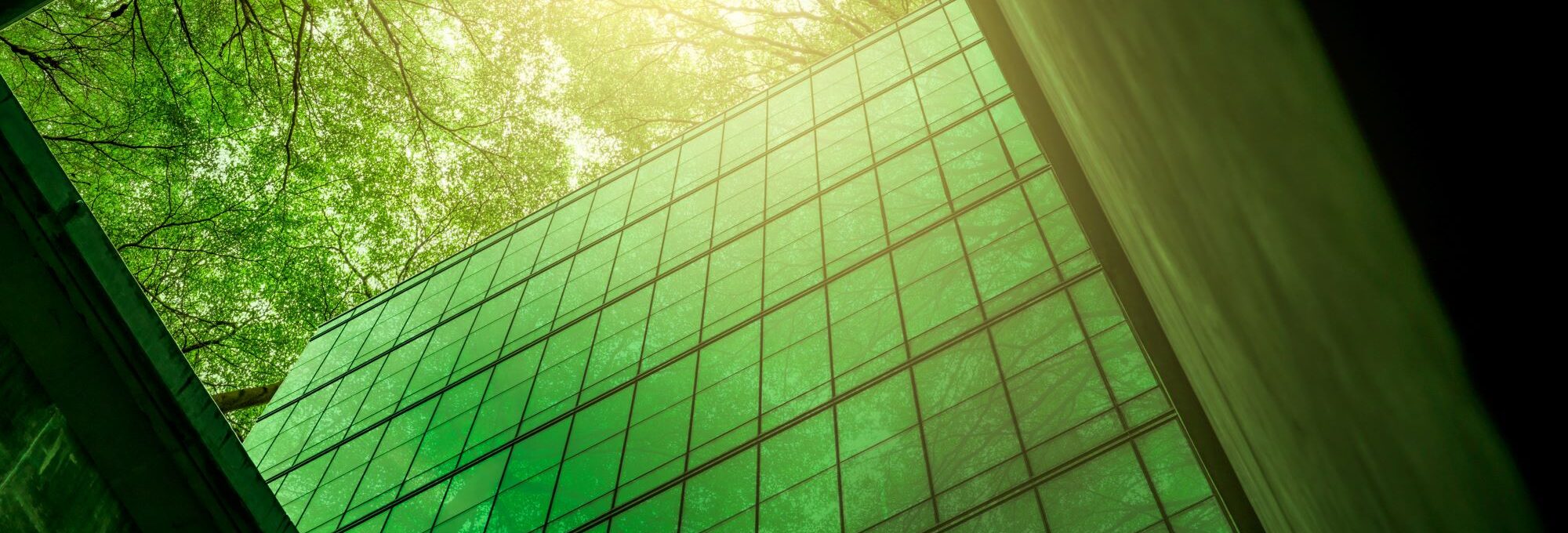 ESG Focus: Sustainable Investment Strategy 2024