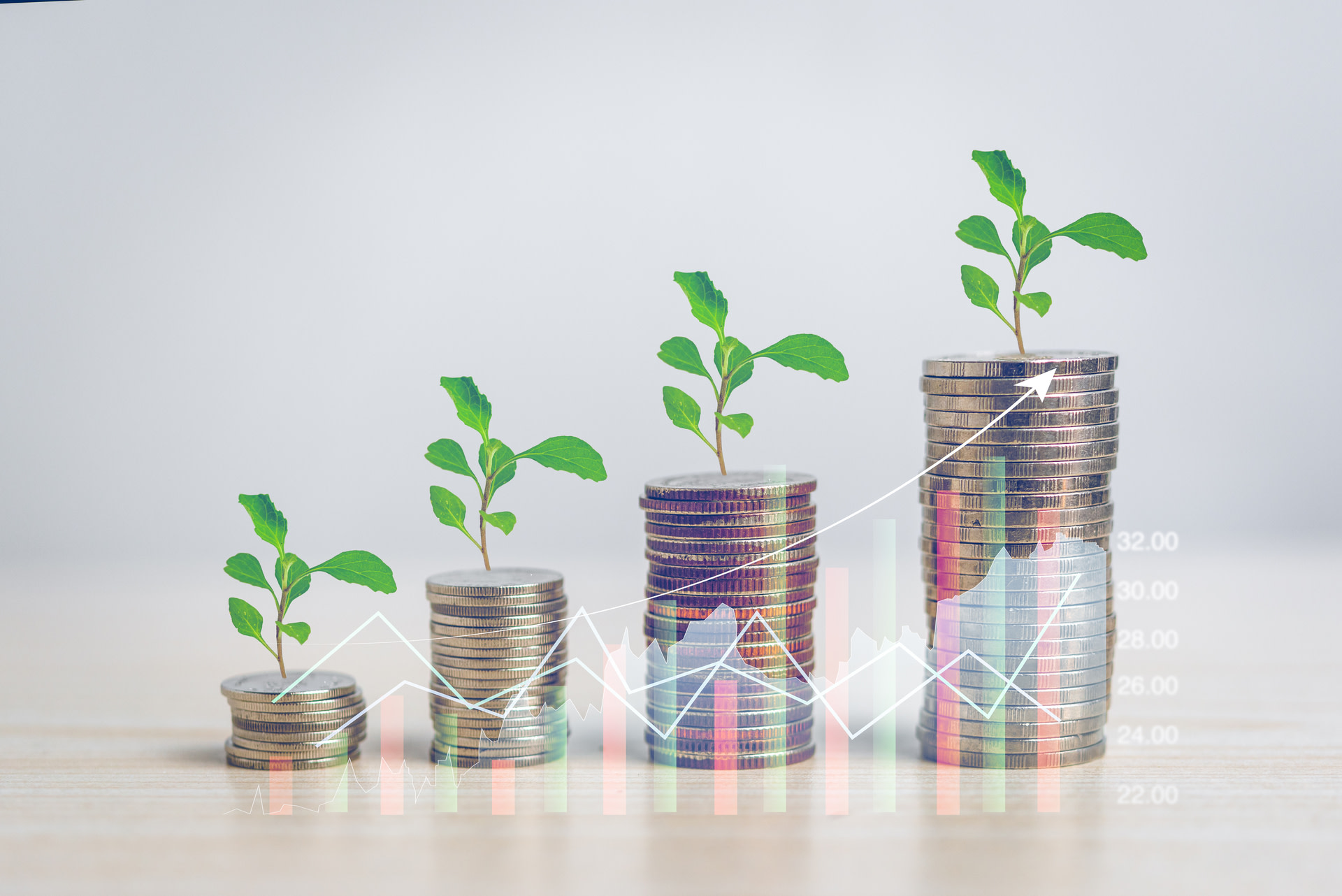 Saudi Arabia Unveils Green Finance Framework