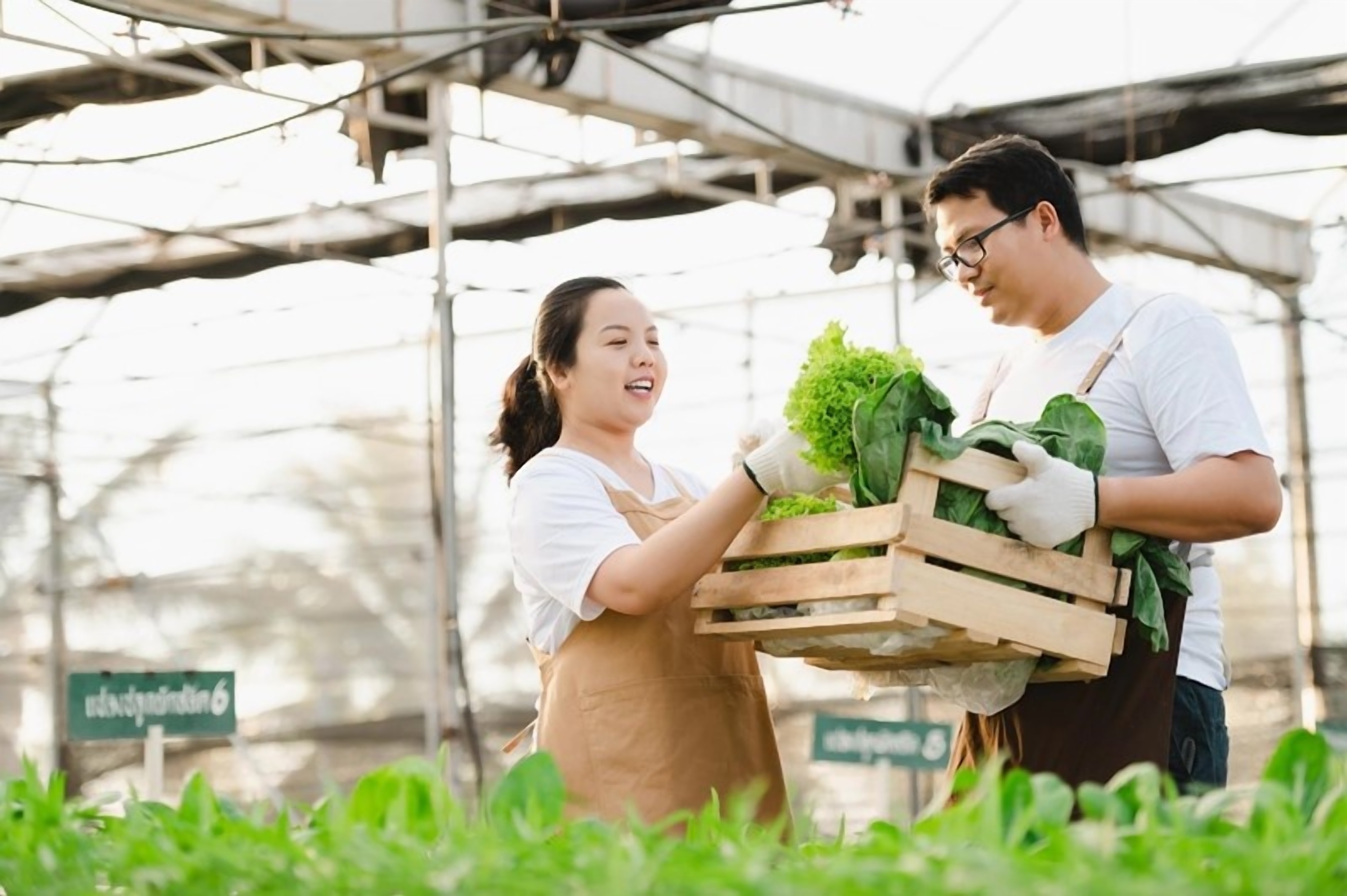 KnowESG_Dusit's green programme for hotels