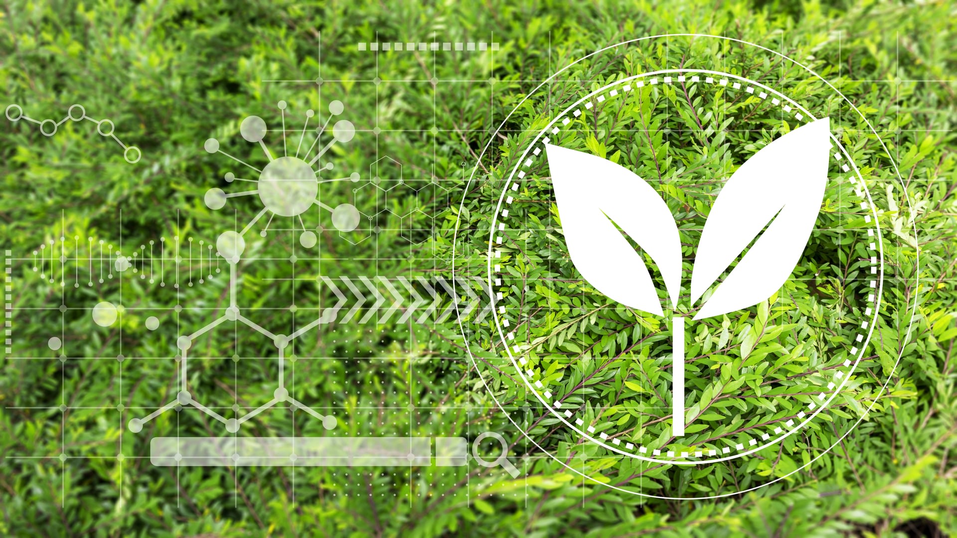 KnowESG_Rainforest Rescue, Hexagon's Digital Solution