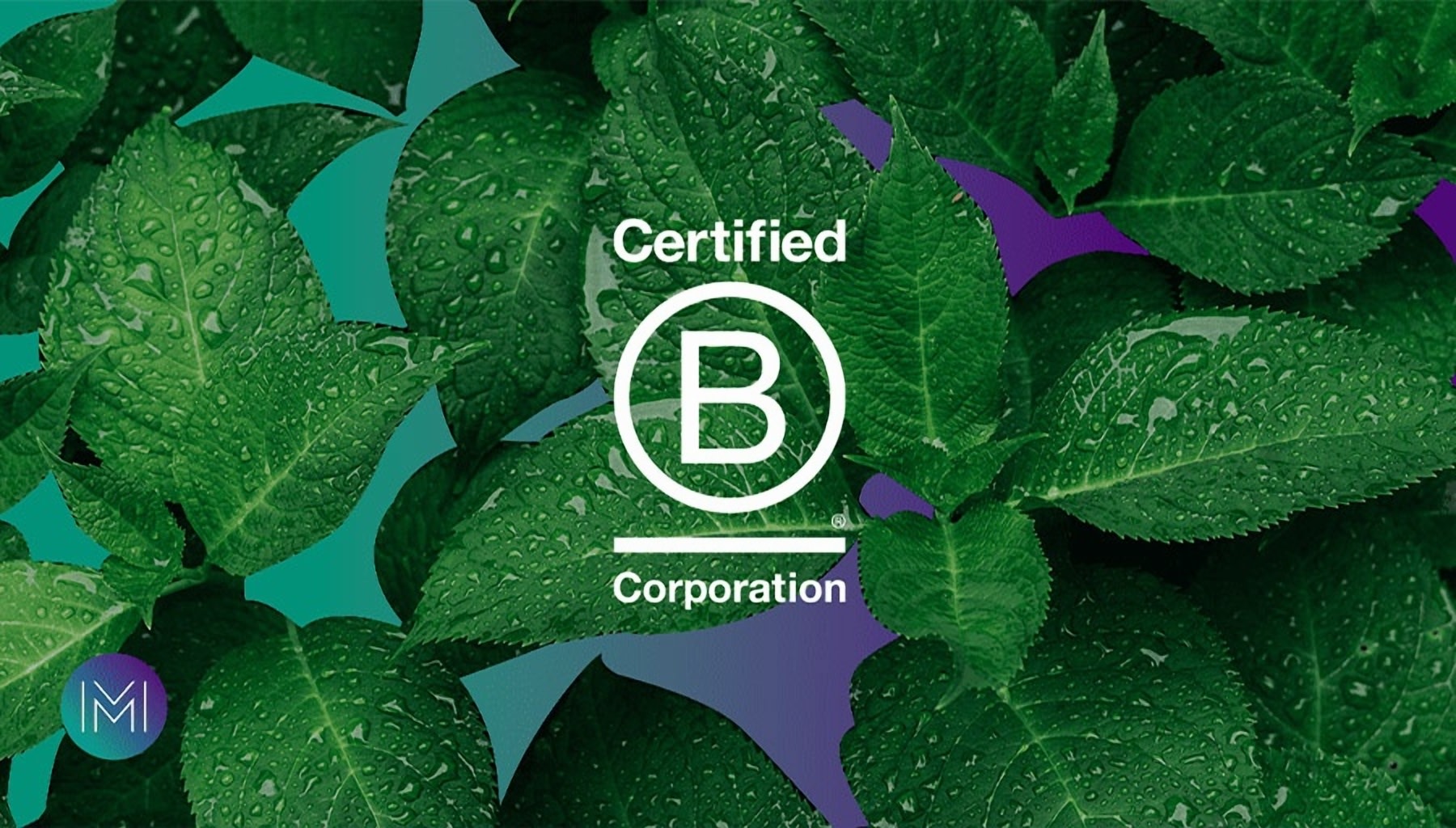 KnowESG_Moorhouse Consulting Joins B Corp Movement