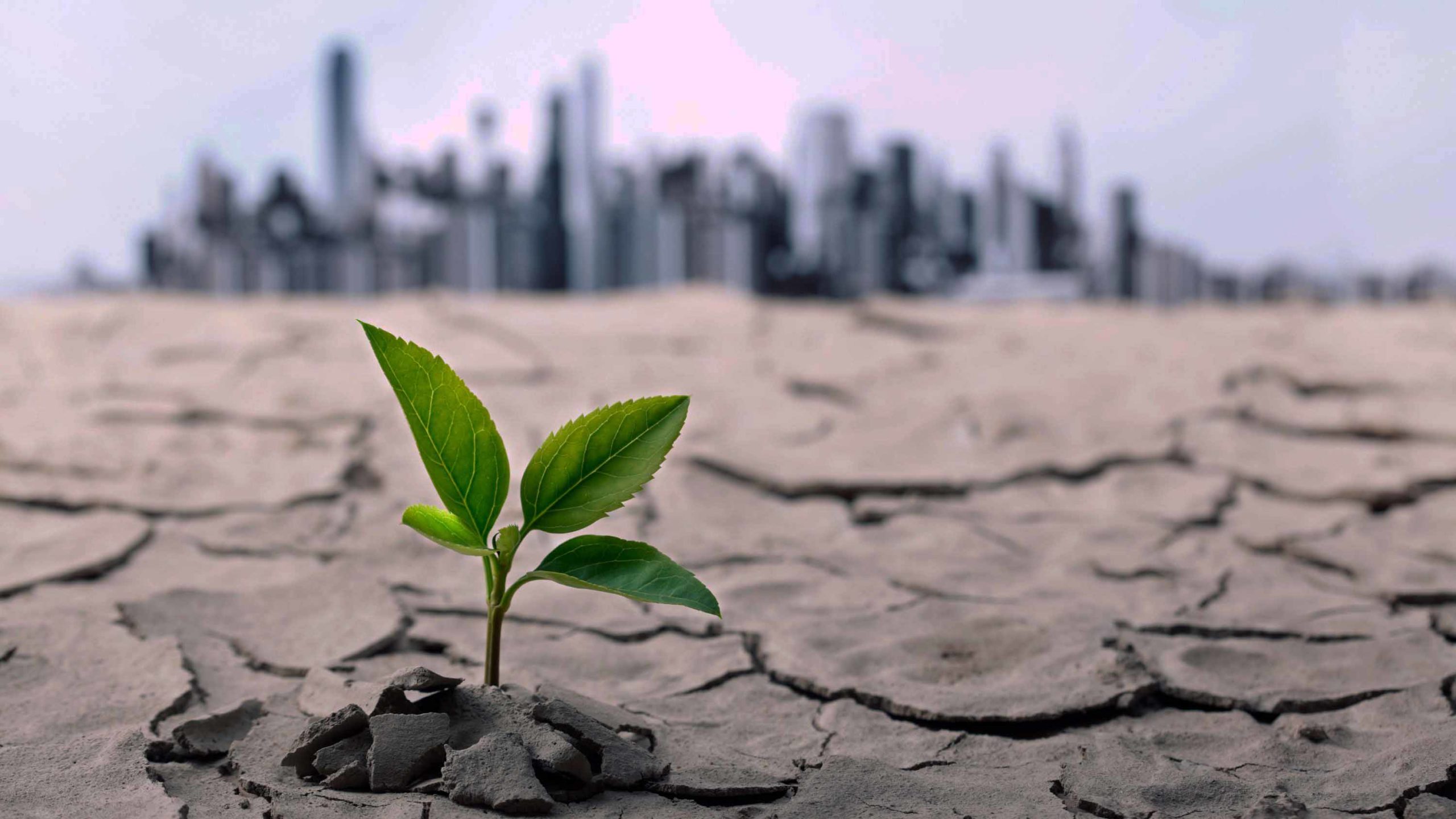 KnowESG_GSMA: Climate Change Strategy Profits Companies