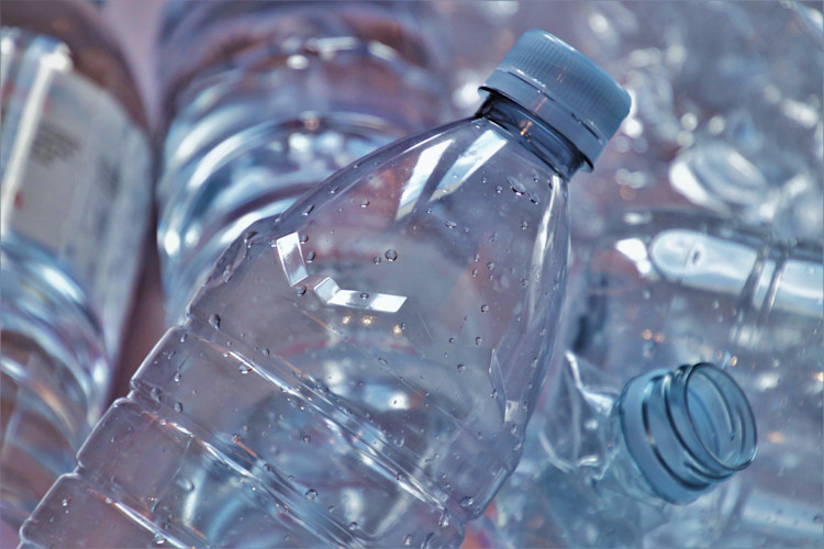 the-bottle-5128607