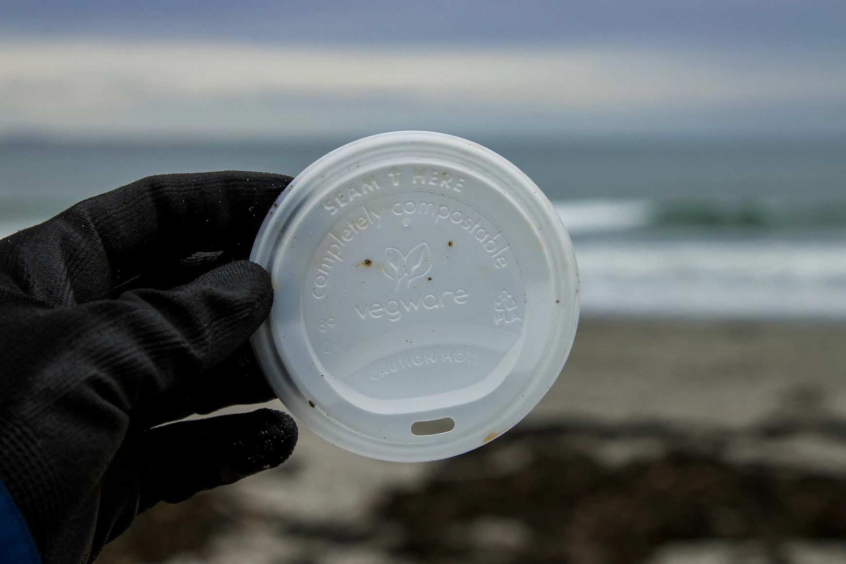 Image of compostable plastic coffee lid found on beach cleanup