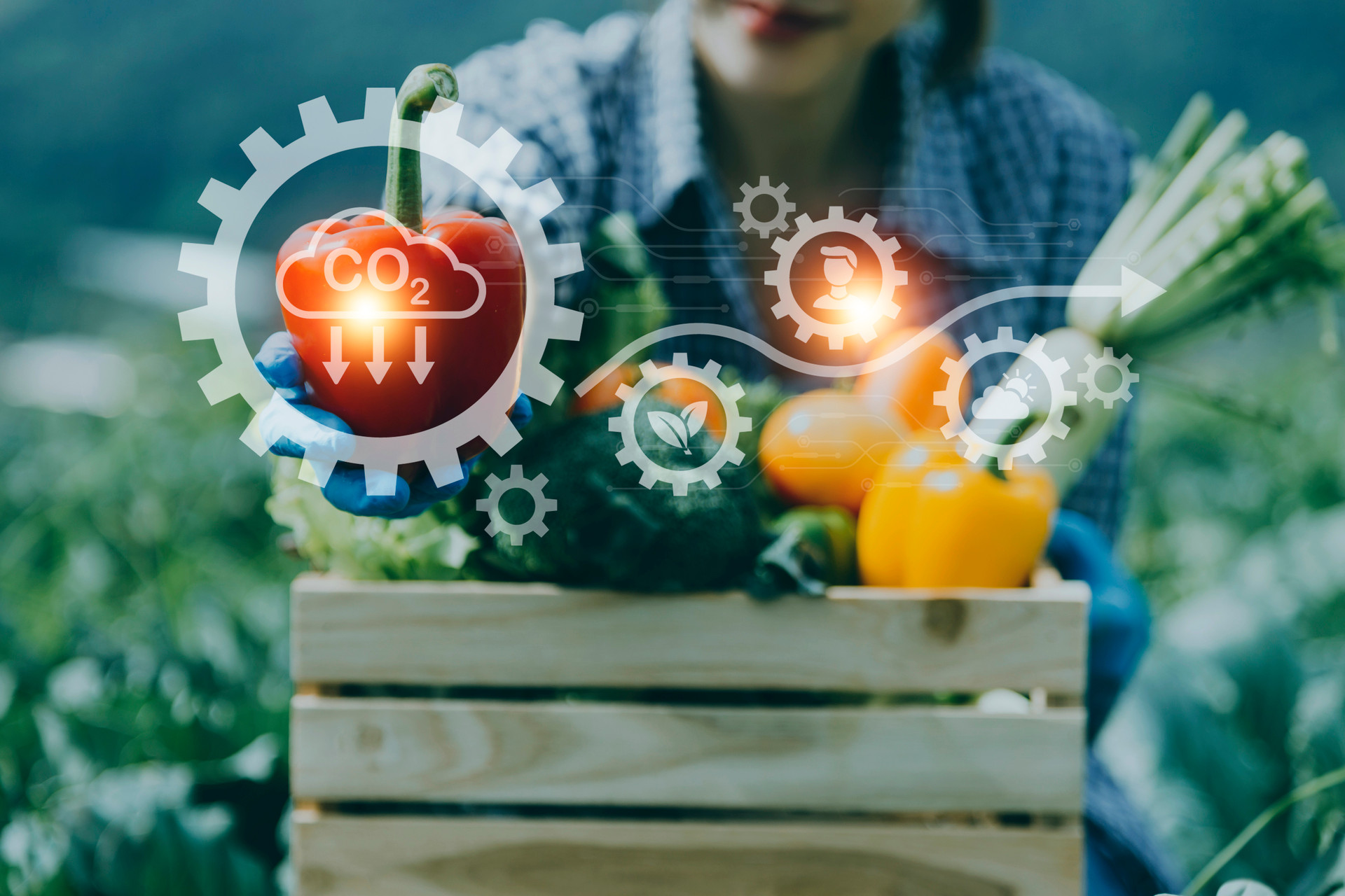 KnowESG_FoodDrinkEurope, Sustainable Food Plan for the EU