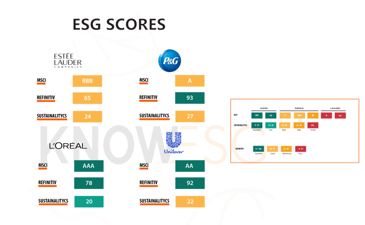 ESG Scores across the Beauty Sector