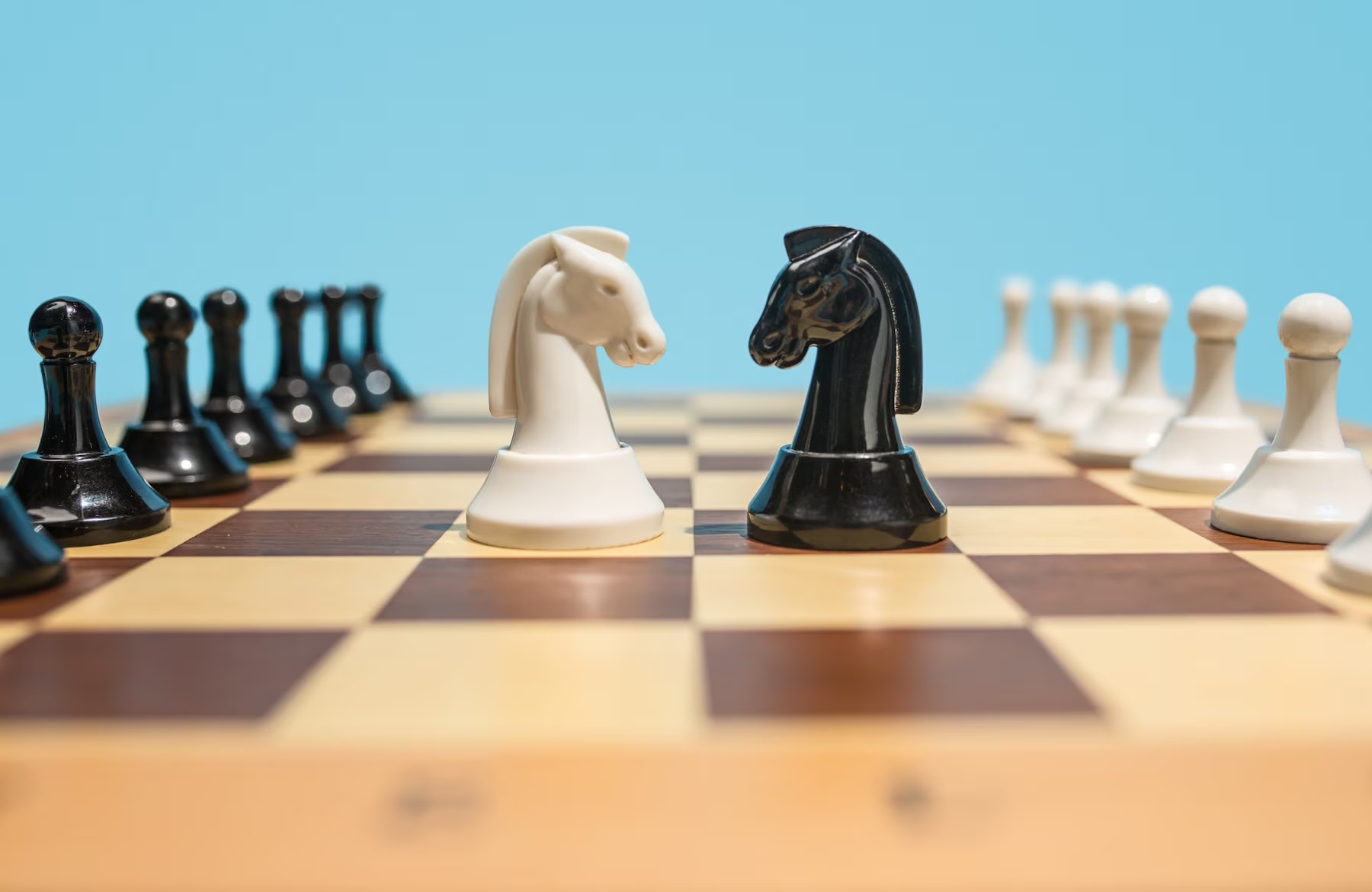 Image of opposing knights on chessboard competition 
