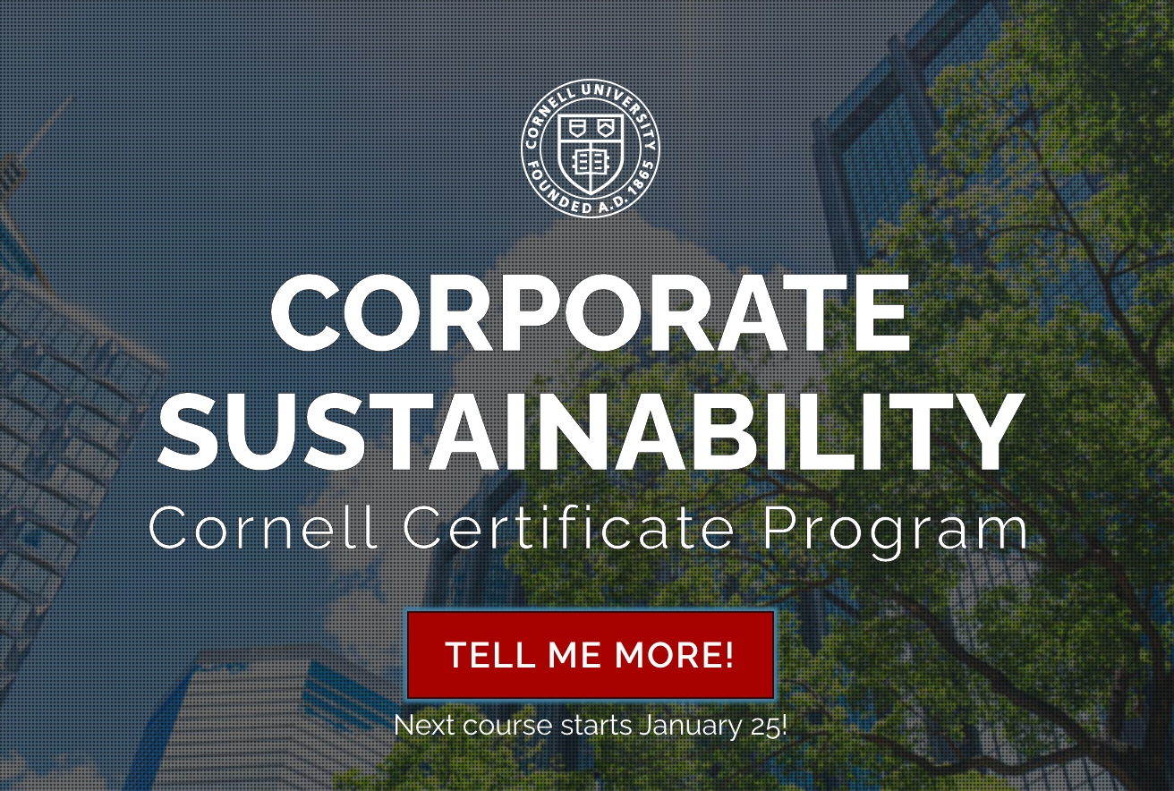 Corporate Sustainability Course