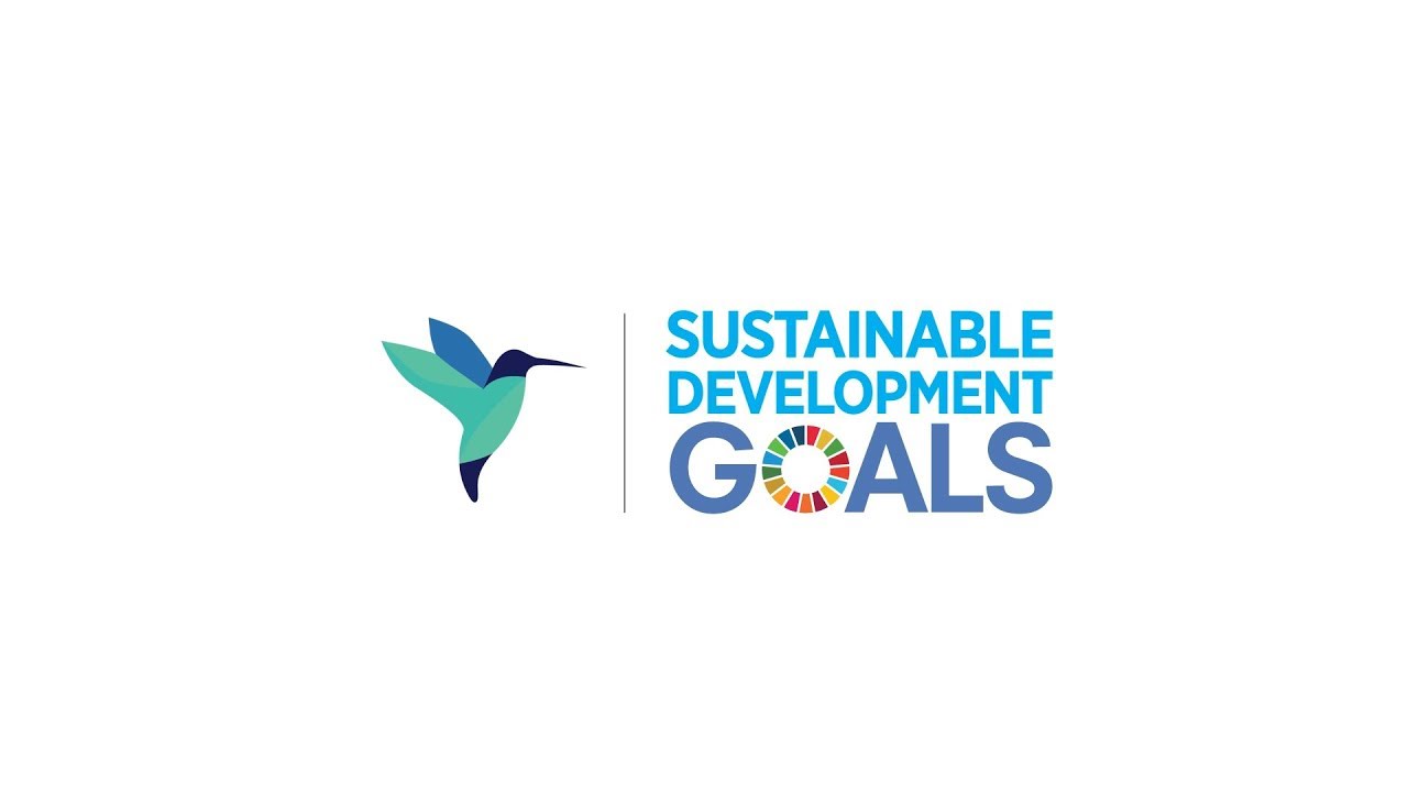 Driving business towards the Sustainable Development Goals