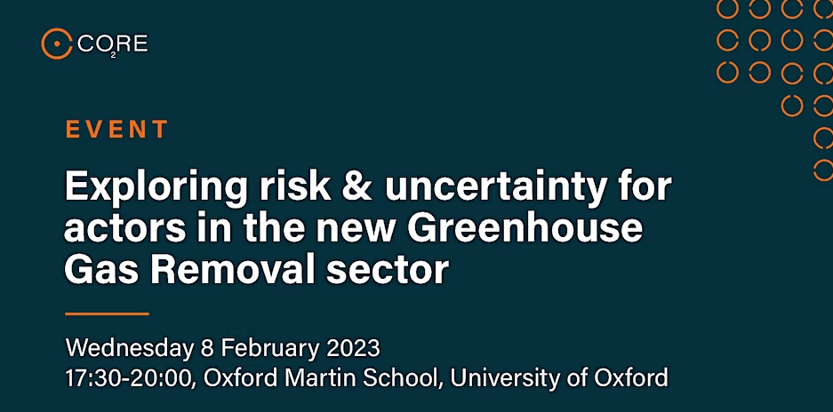 Exploring risk and uncertainty for actors in the new GGR sector