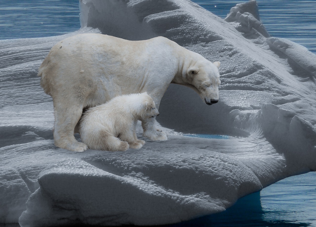 KnowESG_Global Banking Regulators Unite to Tackle Climate Risk, Despite U.S. Resistance