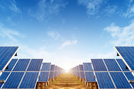solar-panels-field