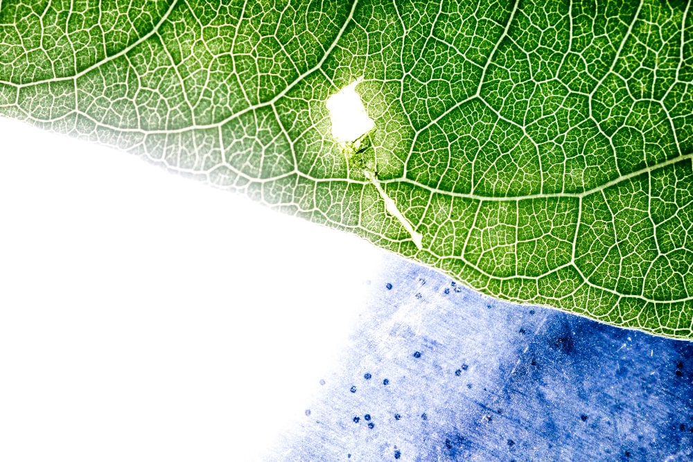 KnowESG_Fewer Indian Firms Commit to Net Zero Goals, Says Report