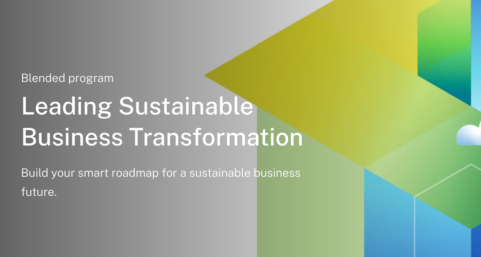 Sustainability certificate: Leading Sustainable Business Transformation