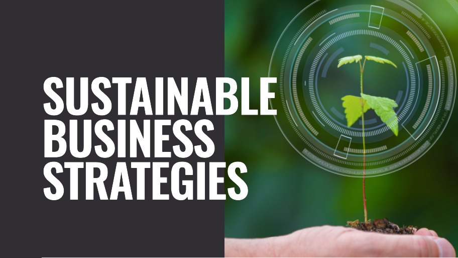 Mastering Sustainability: Transform Business With Experts