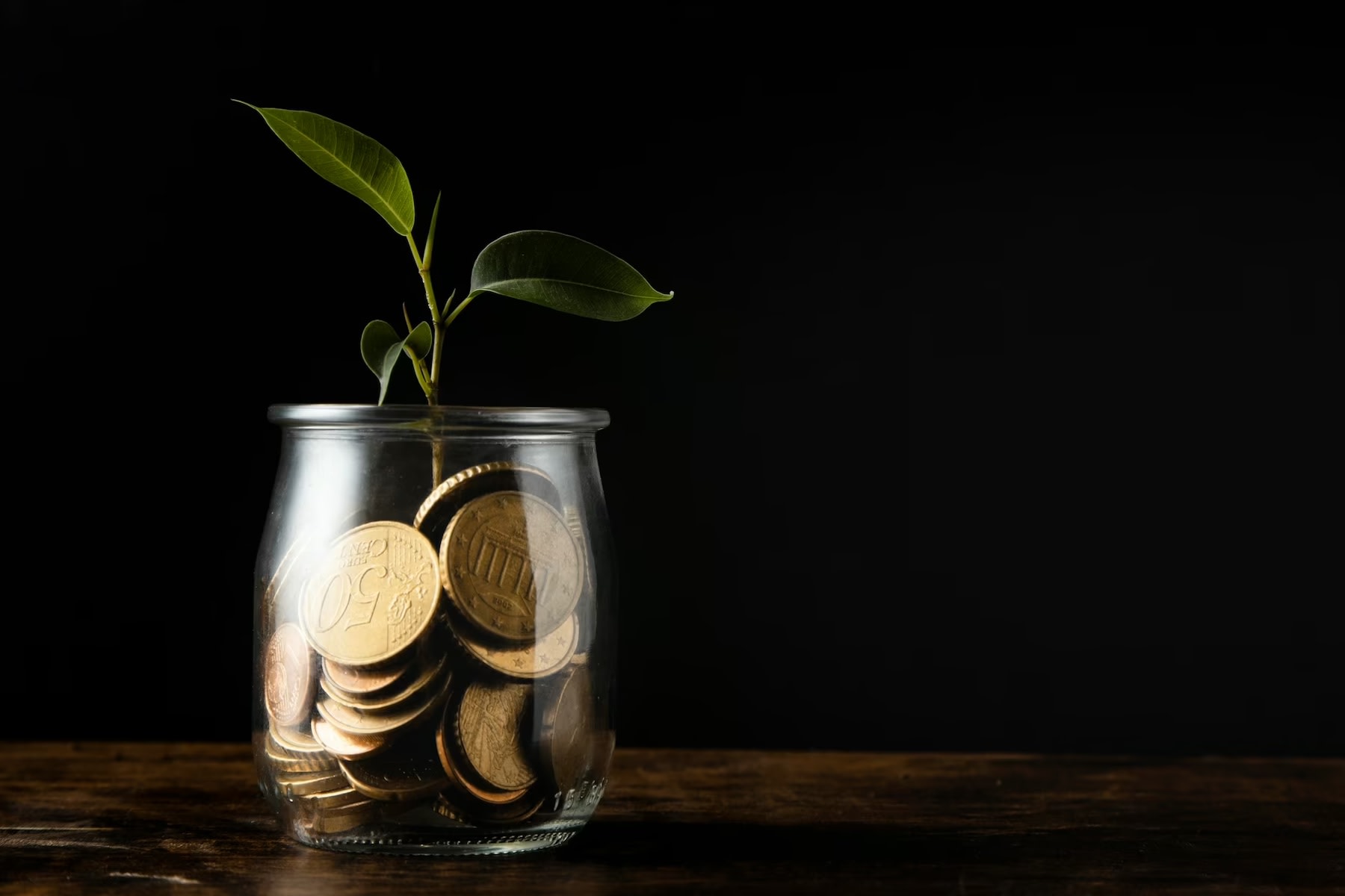 Image of jar full of coins with plant growing out of it