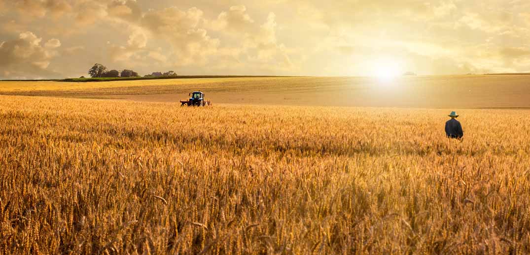 Nestlé U.S. Enhances Wheat Sustainability