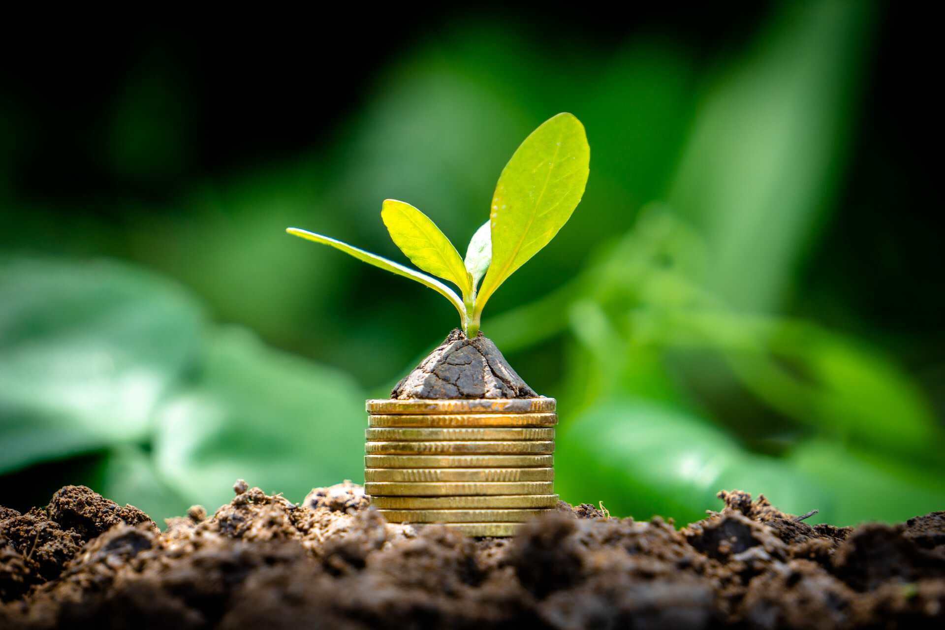 KnowESG_Hang Seng Bank: Green Business Loans & Support
