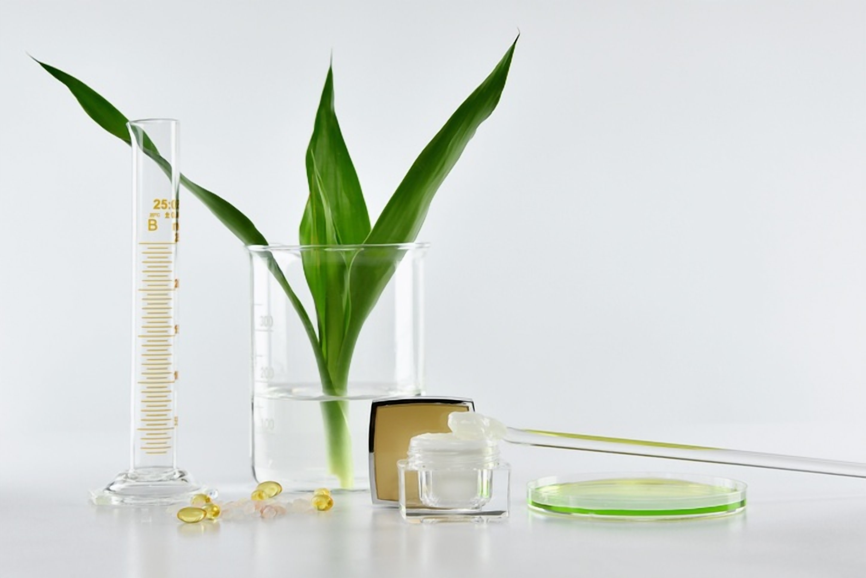 L'Oreal Invests in Sustainably Sourced Ingredients