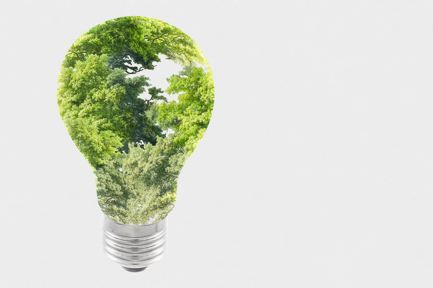 Graphic of lightbulb composed of natural green plant elements