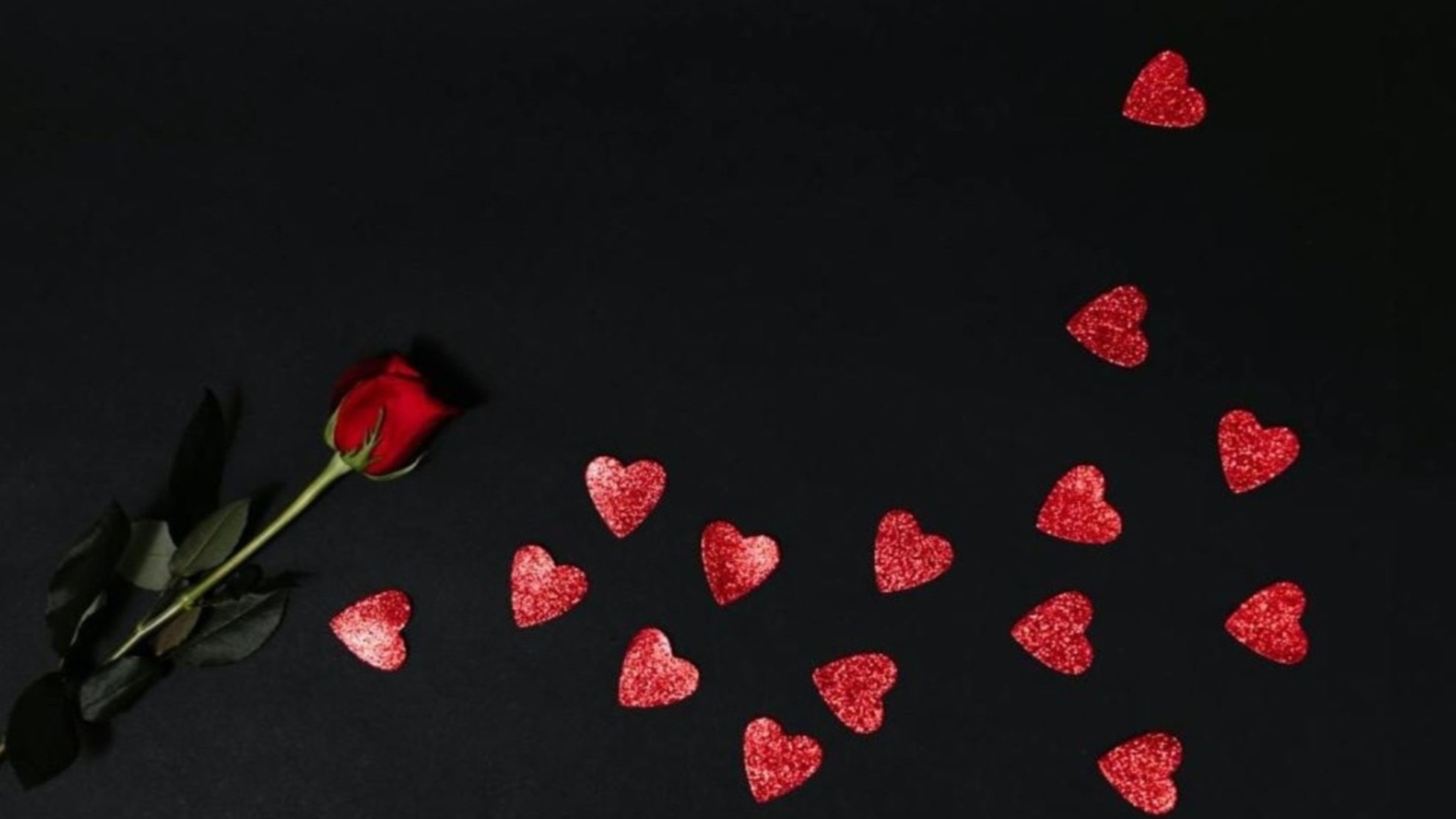 14 red petals on black background