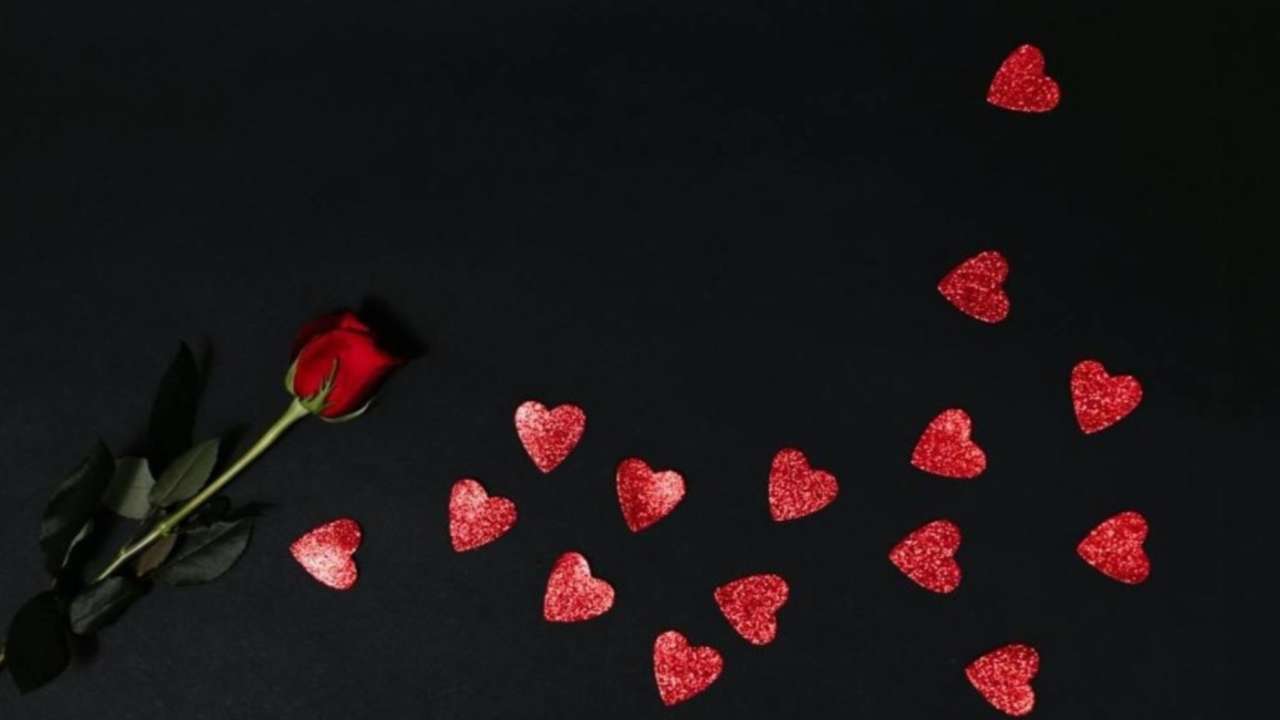 14 red petals on black background