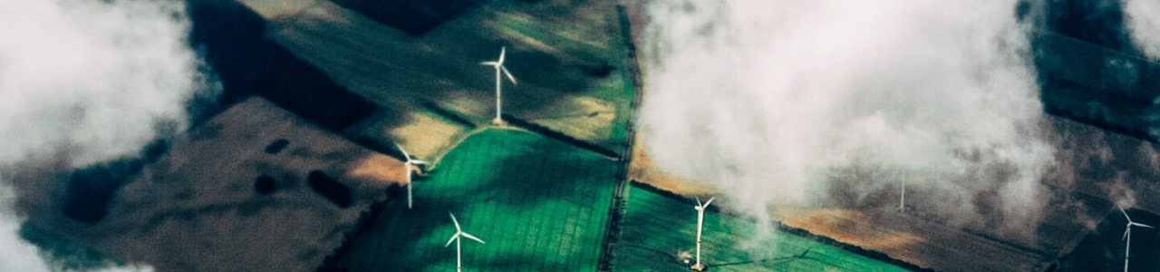 Wind turbines in field generating renewable energy