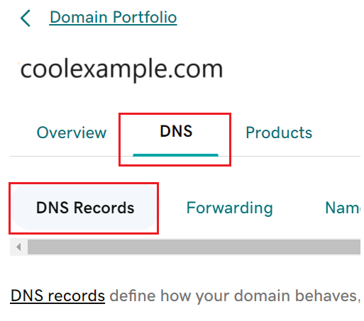 Vælg DNS for at se siden DNS -fortegnelser.