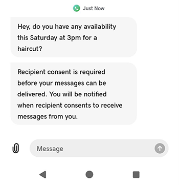 Consent request notification
