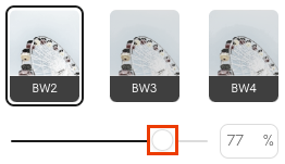 Select filters in the GoDaddy Studio web app