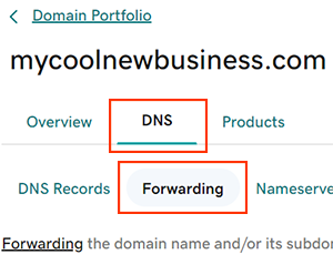 點選「DNS」標籤