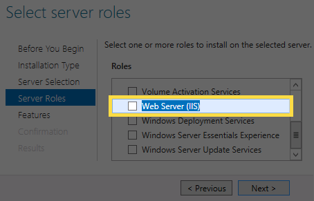 Server Roles page with 'Web Server (IIS)' selected