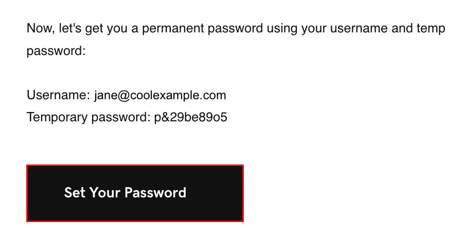 The email sent to the user with the Set Your Password button highlighted.