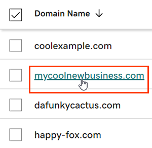 Wählen Sie eine einzelne Domain aus